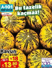 KAVUN KG fiyat ve kampanya bilgisi